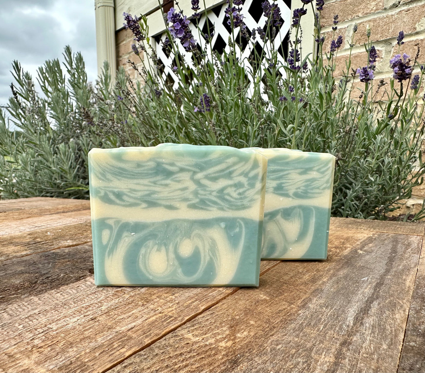 Blueberry Slushie Aloe Soap