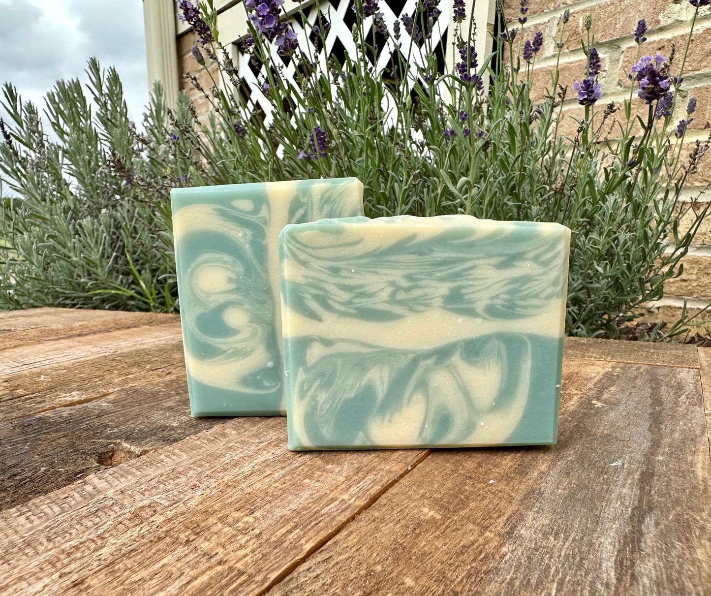 Blueberry Slushie Aloe Soap